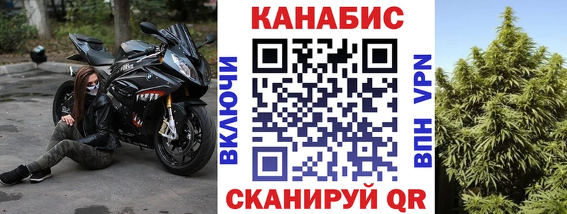 Купить  Великий Устюг  Каннабис OG Kush 